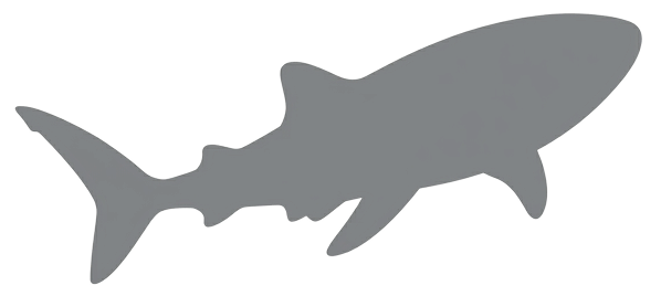 青い海を泳ぐジンベエザメのシルエット