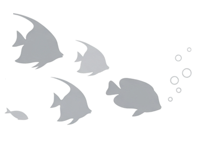 泳ぐ熱帯魚のシルエット