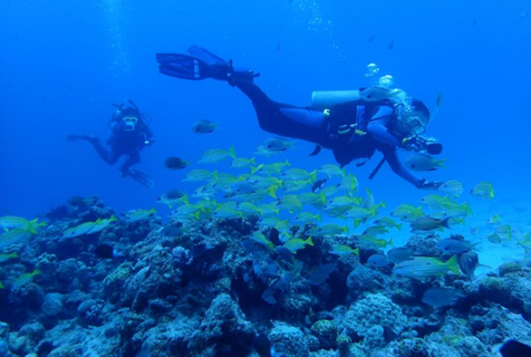 水納島・瀬底島 2ボート