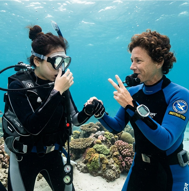 沖縄の海のギャラリー写真 5