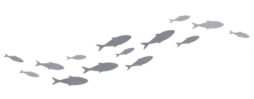 群れで泳ぐ魚のシルエット