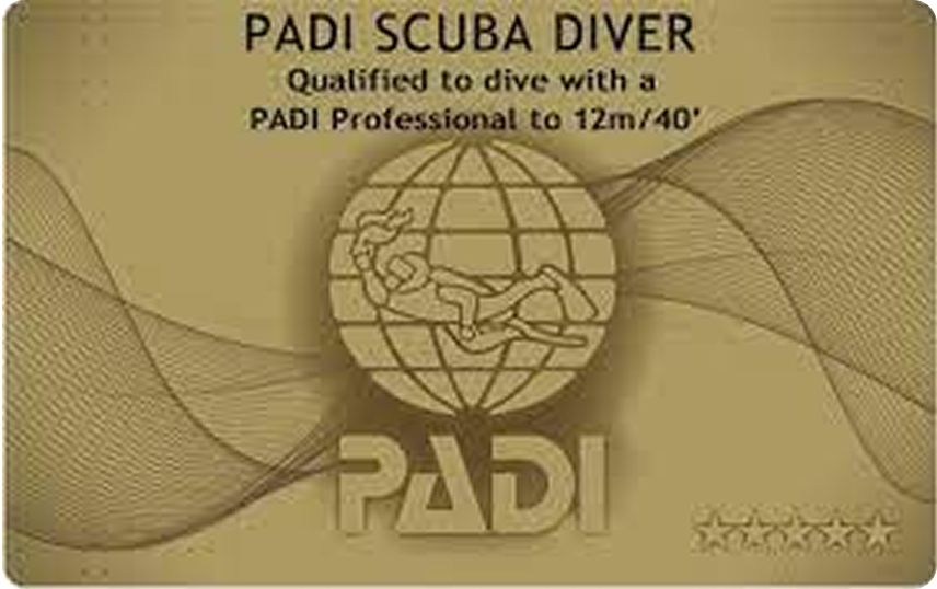 スクーバ・ダイバー・コース(PADI Scuba Diver Course)